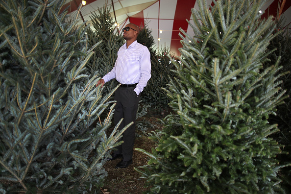 Fresh Christmas Tree Lots In Tampa Bay Area