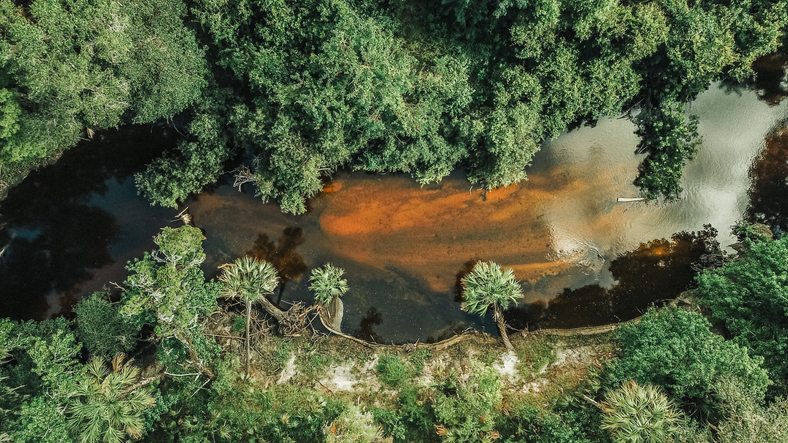 Aerial shot of Alafia River in Brandon, Tampa, Florida